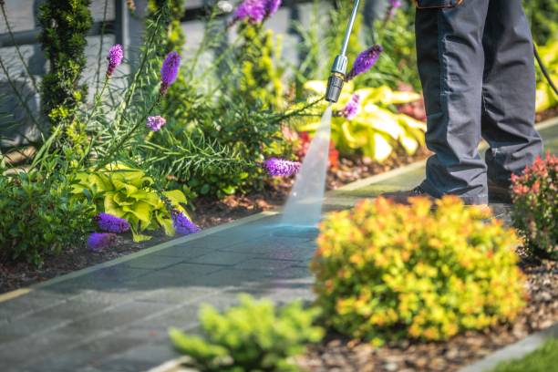 Why Choose Our Pressure Washing Services in Florida