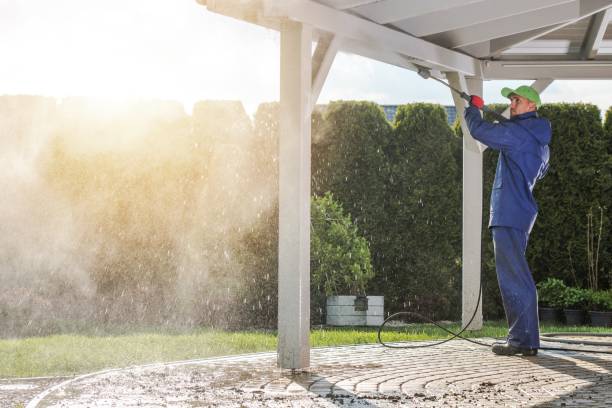 Best Animal Enclosure Cleaning  in Combee Settlement, FL