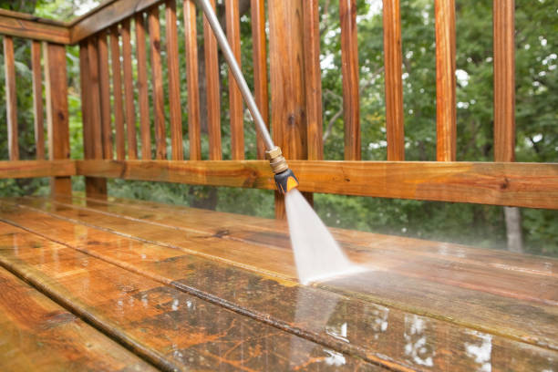 Best Patio and Deck Pressure Washing  in Combee Settlement, FL